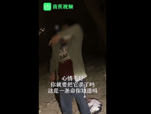 男子虐猫被拍乞求不要曝光,自称 心情不好