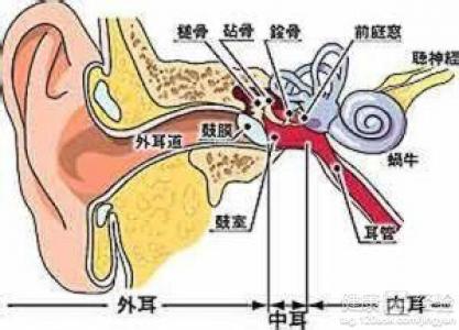 美尼尔综合症是什么病