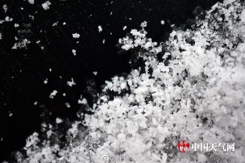 长那种像雪花一样的毛怎么处理最好(雪花像绒毛)