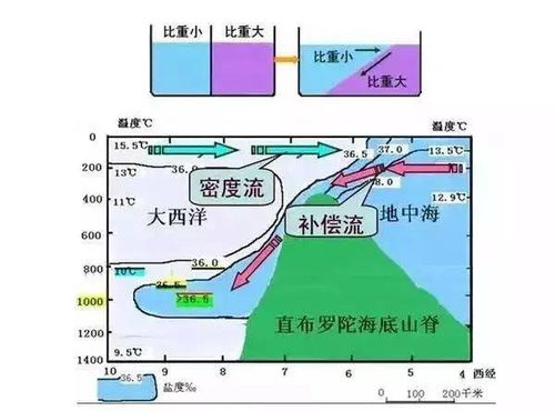 高中地理 洋流知识点总结