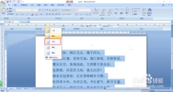 word2007中如何设置分栏功能