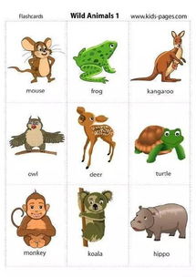 收藏 各类动物的英文图片及词汇大全