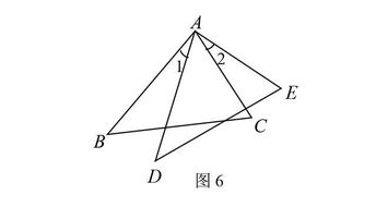 三角形高的易错点有哪些？