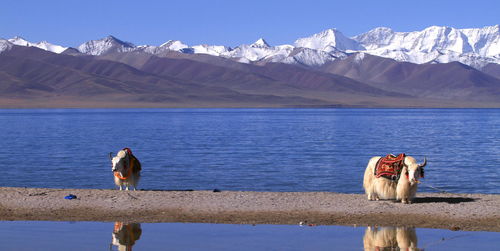 世界美景十大美景 (世界前十美景)