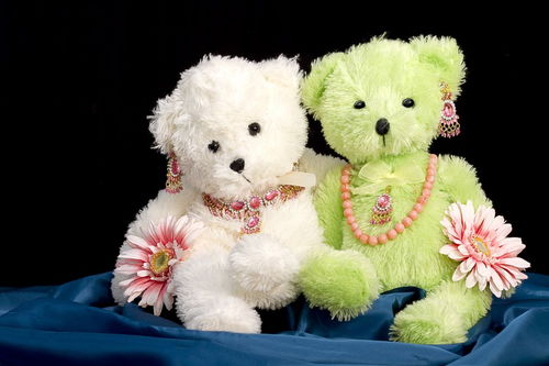 什么颜色的泰迪最漂亮 迷你泰迪和玩具泰迪分别长大后是多少斤 