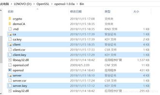 win10安装openssl证书