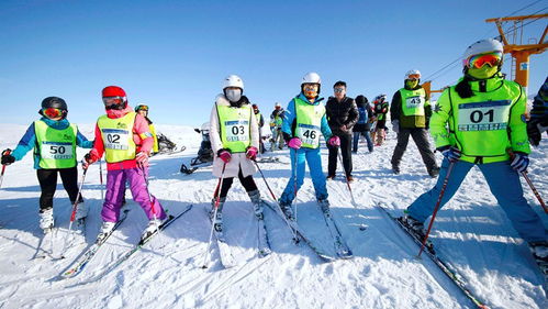 塔城额敏县第五届 也迷里杯 滑雪比赛暨第三届滑雪四人追逐赛 第一届 也迷里杯 青少年趣味滑雪赛公告 