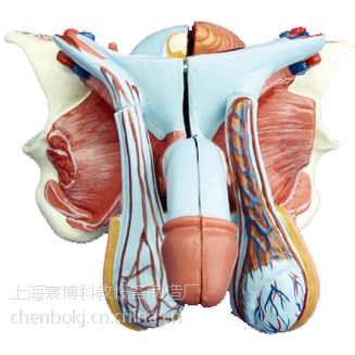 价格 厂家 中国供应商 