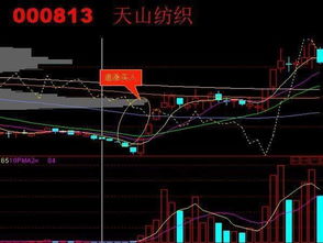 请问《追涨十法》动漫片第五集的喜鹊闹梅的解释是什么？