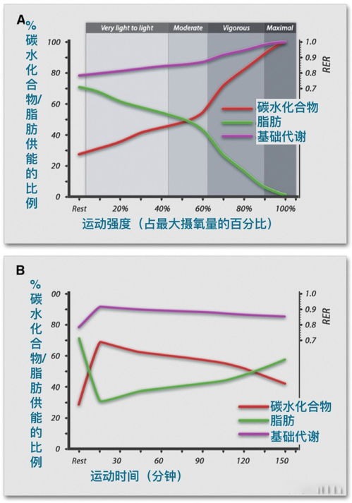 到底是有氧减脂还是无氧减脂