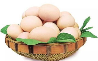 庆双dan 送鸡蛋 文化城千斤鸡蛋免费送 