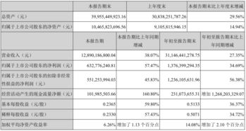 美巢集团股份公司工资待遇怎么样