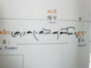 请帮我把这个藏文名字翻译成中文,解释什么意思 