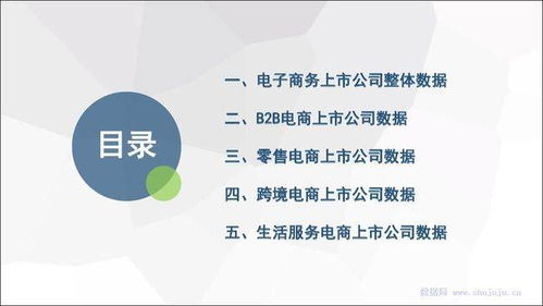电子商务研究中心 网经社 2018年度中国电商上市公司数据报告