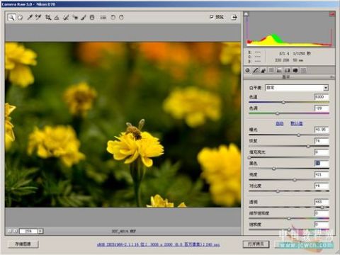 Photoshop ACR结合PS修图与调整简单流程