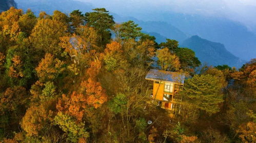 这个夏日,来 太平顶 赴山野之趣 