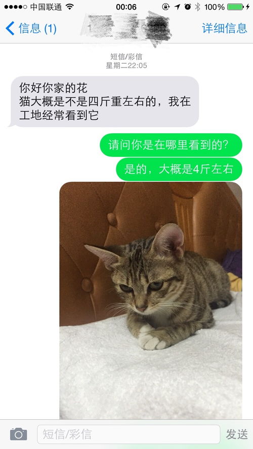 猫丢了之后找他们的时候是什么心情 找了多久 找到了么 