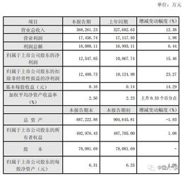 公司年报中关于公司治理的内容有哪些方面？求解