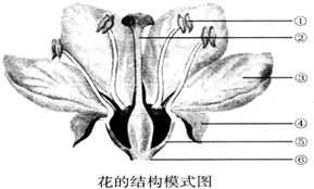 花的各部位名称图 搜狗图片搜索