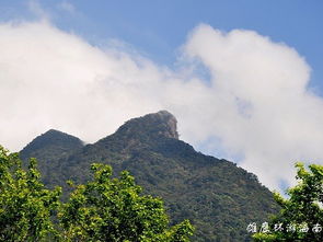 2019五指山热带雨林风景区 旅游攻略 门票 地址 问答 游记点评,五指山旅游旅游景点推荐 去哪儿攻略 