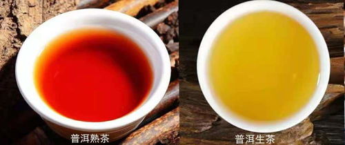 普洱茶属于什么茶类型属于红茶还是黑茶,普洱茶到底属于什么茶