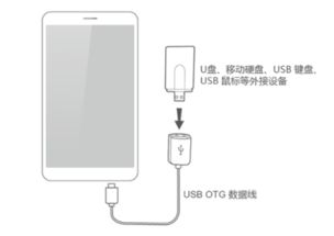 otg线连接手机没反应