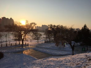 北国之冬,难忘的白色童话世界 吉林 雾凇岛 雪乡 哈尔滨