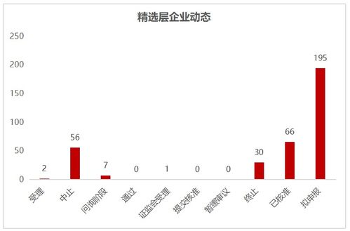 网新科技具体怎么样