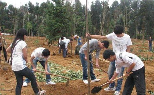 英国媒体 中国人太天真,不知道植树的后果,还说自己是环保大国