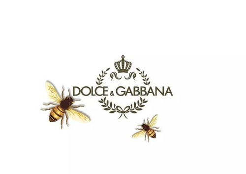 你喜欢GUCCI的小蜜蜂还是Dolce Gabbana的小蜜蜂,还是Dior的小蜜蜂