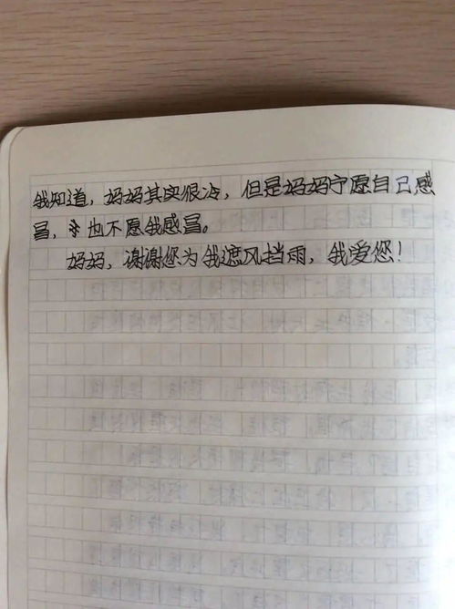 我的妈妈优秀作文450字左右