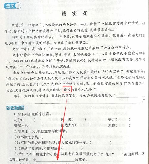 语文阅读理解之段落篇大总结 五大题型,全面总结,一学就会