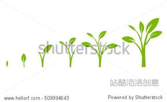 Tree growth diagram with green leaf. Business cycle development. Vector illustration isolated on white background.