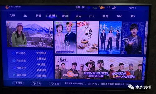 停播公告 洪梅新闻 栏目停止在翡翠台 TVB 播出,内附新收看方式指南