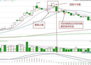 上涨途中的高位阴十字星代表什么