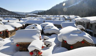 雪乡旅游遭整改,承诺永不 宰客 ,网友 你以为我们傻吗