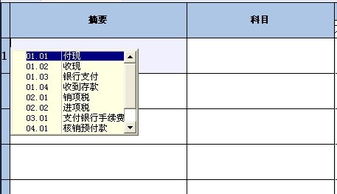 金蝶软件里为什么输入目录的时候会出现这个小框，如何取消小框子