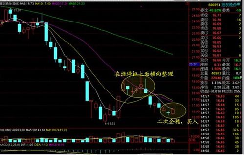 为什么买不到新上市的股票