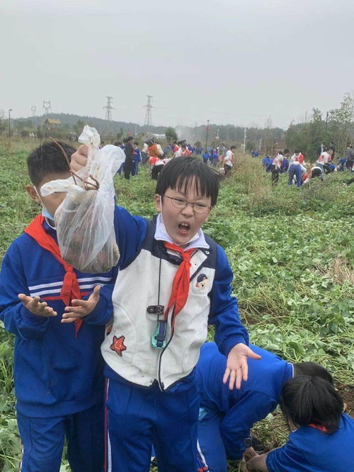 传承工匠精神,走进多彩田园