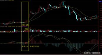 股票中的macd指标怎么看出股票该买还是该卖？