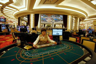 澳门VIP赌厅规则解析·了解手机使用情况，打开赌城之门