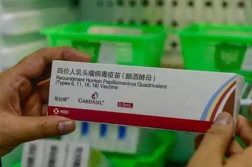 潍坊女性,四价宫颈癌疫苗可以打啦 每针价格833元 