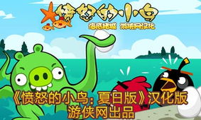 愤怒的小鸟猪之夏日海洋版 免安装中文绿色版下载, 愤怒的小鸟猪之夏日海洋版 免安装中文绿色版单机游戏下载 