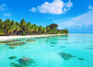 马尔代夫加你岛浪漫热带度假胜地
