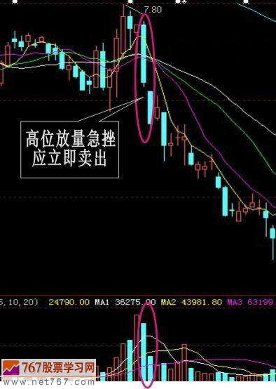 我要编程可以把股票自动排名（市盈率）并自动更新股价