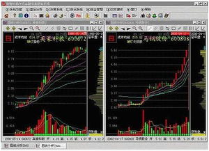 在哪里能看到一只股票的“成本均线”