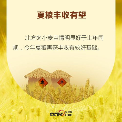 疫情或将引发粮食危机 我需要囤粮吗