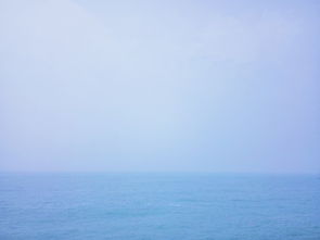 我要去看你和大海,琴岛的海风吹来夏天