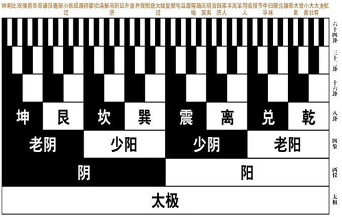 易经入门至进阶到精通教程