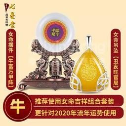 2020年 运程详细解析